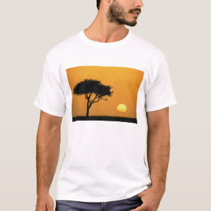 Single Acacia Baum silhouettiert bei Sonnenaufgang T-Shirt