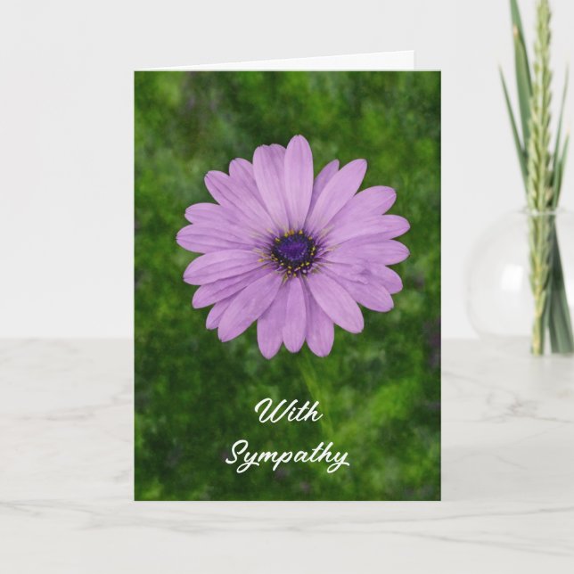 Single African Daisy Blume Art Sympathie Karte (Vorderseite)