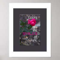 Single Bending Pink Rose Foto