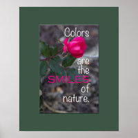Single Bending Pink Rose Foto