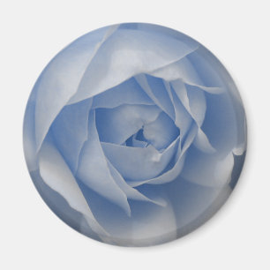 Single Blue Rose Magnet