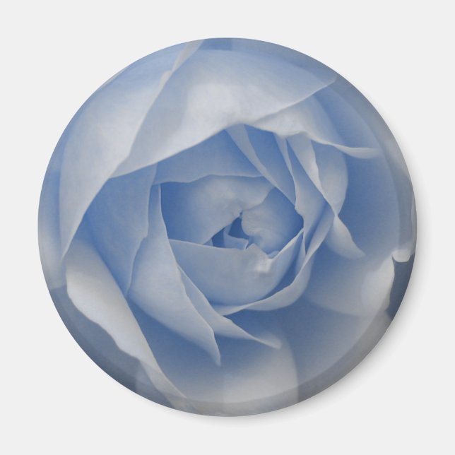 Single Blue Rose Magnet (Vorne)