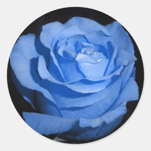 Single Blue Rose Runder Aufkleber