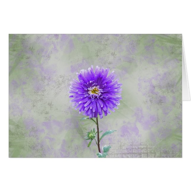 Single Dahlia (Vorderseite (Horizontal))