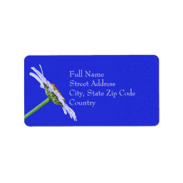 Single Daisy Blume auf Leinwand benutzerdefiniert Adressaufkleber