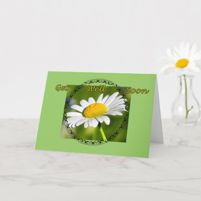 Single Daisy Get Well Card Karte (Kleine Pflanze)