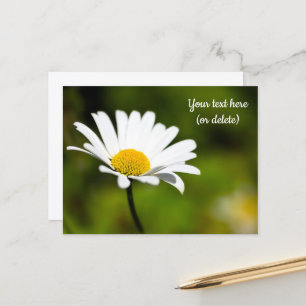 Single Daisy Postcard Postkarte
