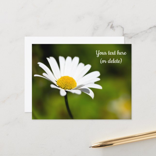 Single Daisy Postcard Postkarte (Vorderseite/Rückseite Beispiel)