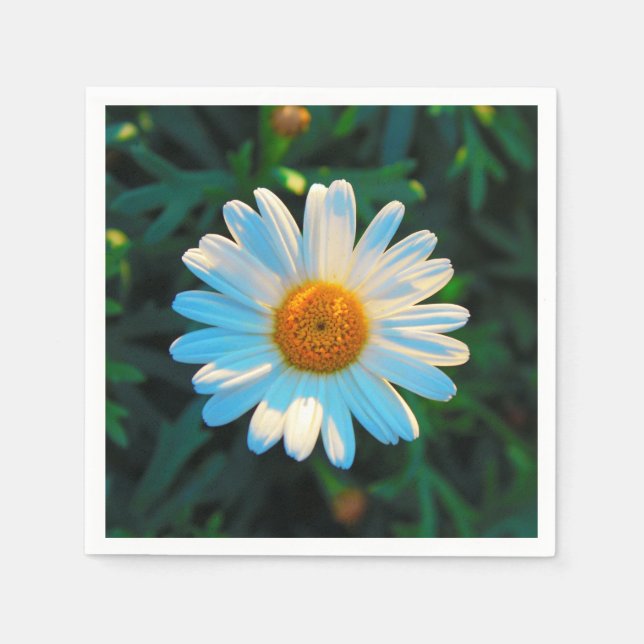 Single Daisy Serviette (Vorderseite)