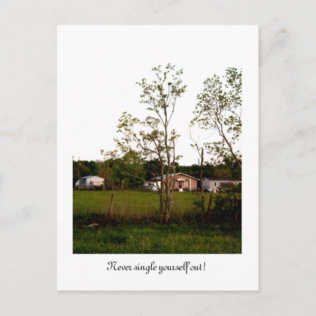 Single dich nie aus! postkarte (Vorderseite)