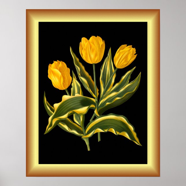 Single Early Tulip Yellow ~ Botanische Kunstdrucke Poster (Vorne)