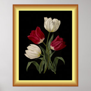 Single Early Tulips ~ Botanische Kunst Poster