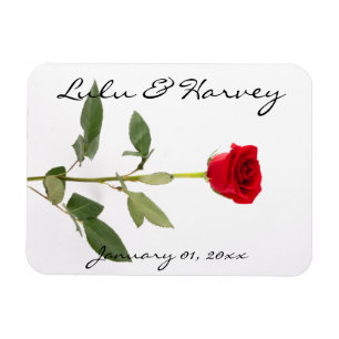 Single Elegant Rote Rose Magnet