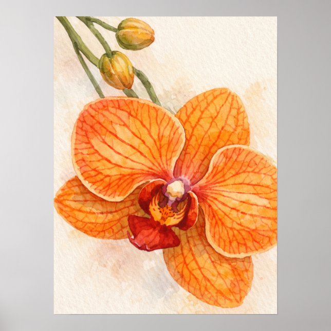 Single Flower Moth Orchid Botanical Poster (Vorne)