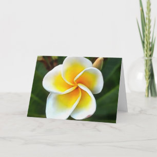 Single Frangipani Blossom Kunstvoll wandern im Val Karte