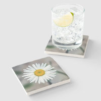Single-Gänseblümchen-Stein-Untersetzer