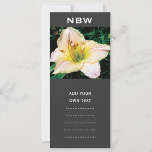 Single gelbe Lilie Blume.