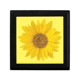 Single Gelbe Sonnenblume auf hellgelber Geschenkbo Erinnerungskiste