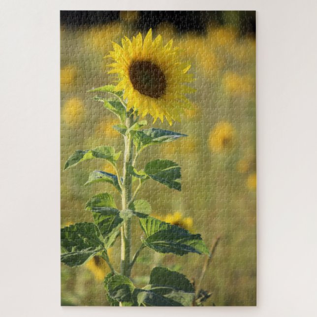 Single Gelbe Sonnenblume Puzzle (Vertikal)