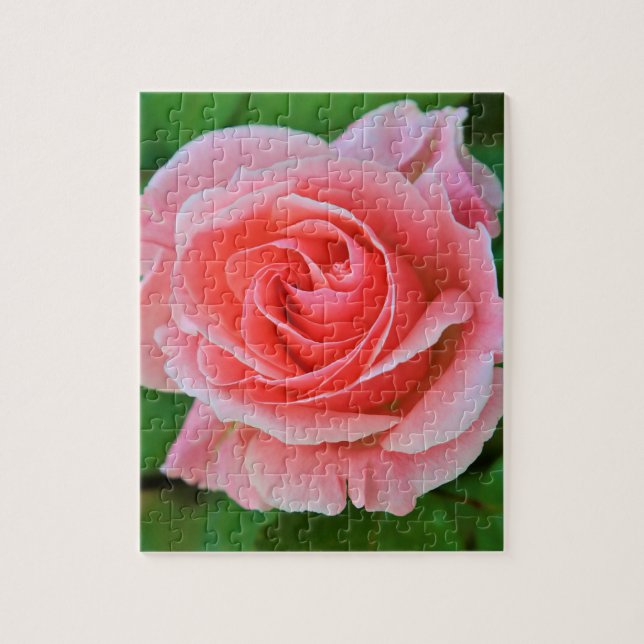 Single Große rosa Rosa Rosa Nah Puzzle (Vertikal)