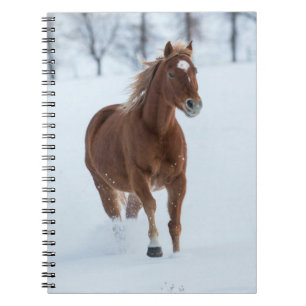 Single Horse Running in Snow Notizblock