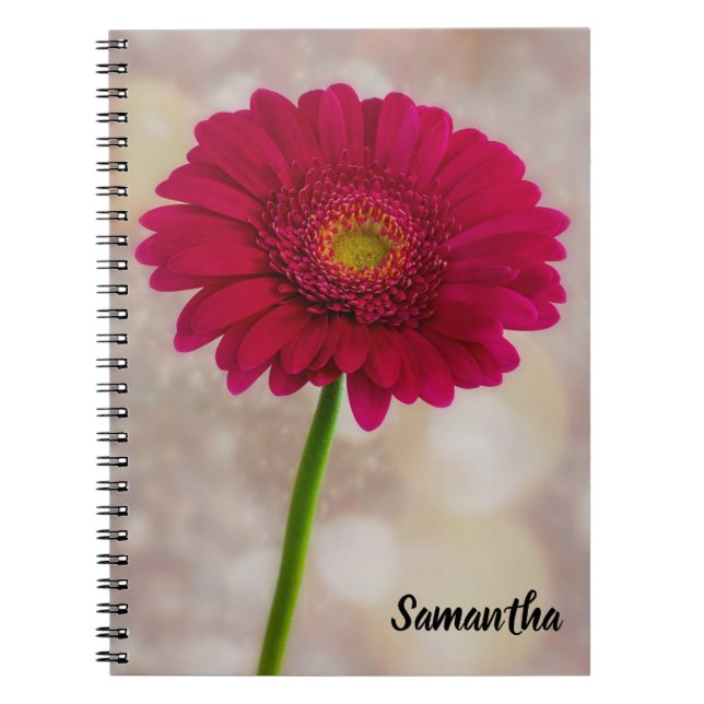 Single Hot Pink Gerbera Spiral Notebook Notizblock (Vorderseite)