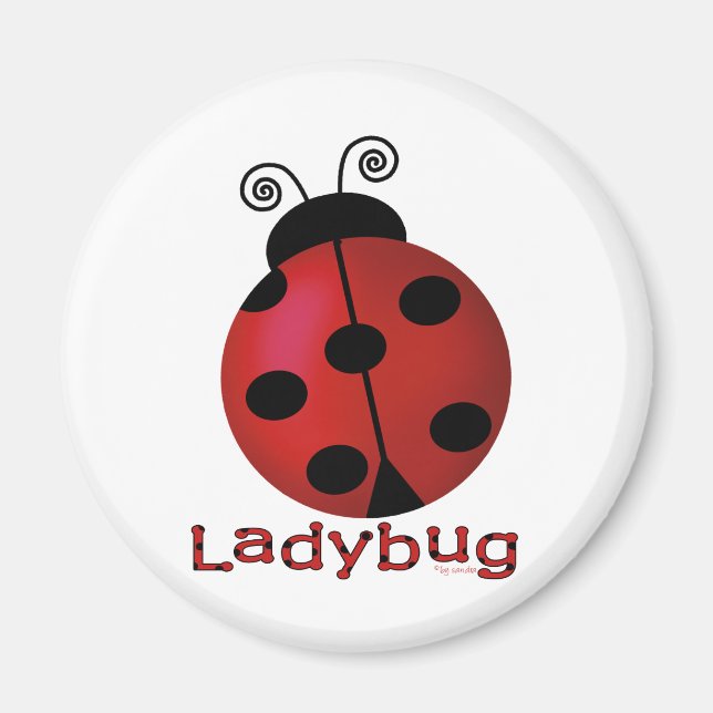 Single Ladybug Magnet (Vorne)