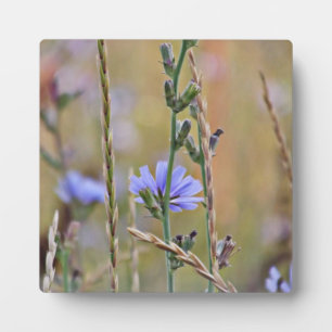 Single Lila Blume ~ 5,25 x 5,25 mit Easel Fotoplatte
