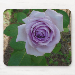 Single Lila Rose Mausrad Mousepad