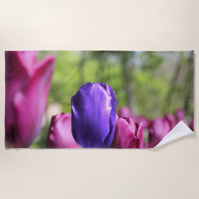 Single Lila Tulip Strandtuch (Vorderseite)