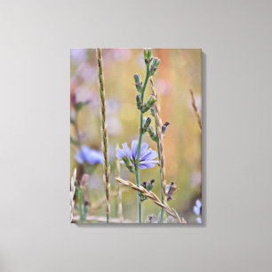 Single Lila Wildblume - überzogene Canvas Leinwanddruck