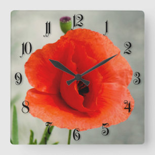 Single Mohn Blume Foto Quadratische Wanduhr