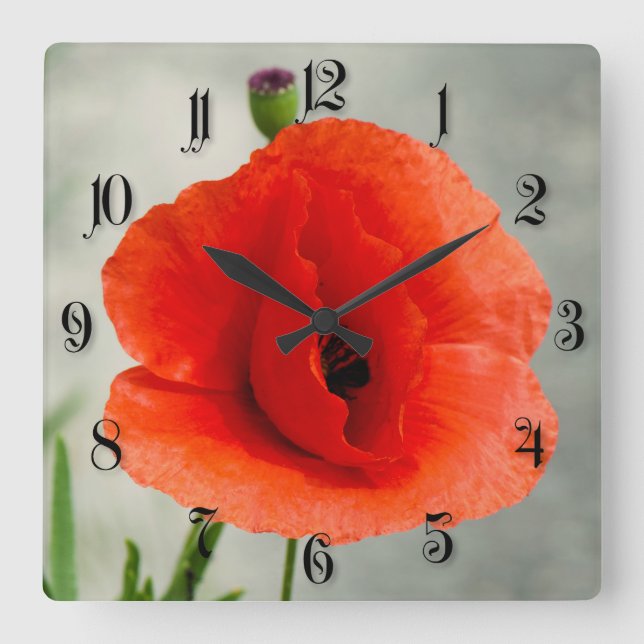 Single Mohn Blume Foto Quadratische Wanduhr (Vorderseite)