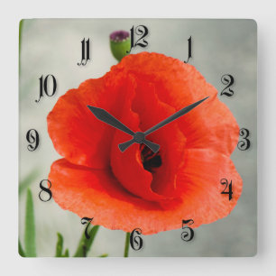 Single Mohn Blume Foto Quadratische Wanduhr
