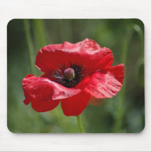 Single Mousepad
