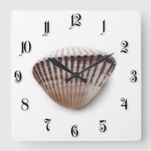 Single-Muschel Quadratische Wanduhr