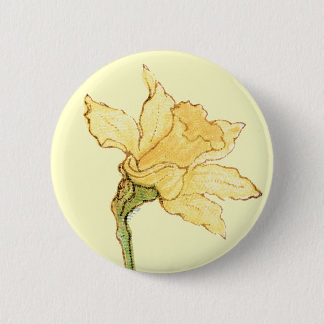 Single-Narzissen-Illustration durch Kate Greenaway Button (Vorderseite)