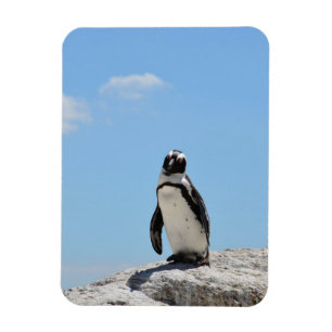 Single Niedlich Pinguin und Blue Sky Magnet