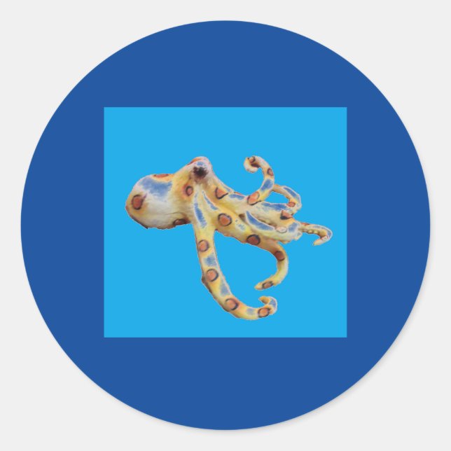 Single Octopus im blauen Hintergrund Runder Aufkleber (Vorderseite)