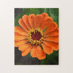 Single Orange Blume Puzzle
