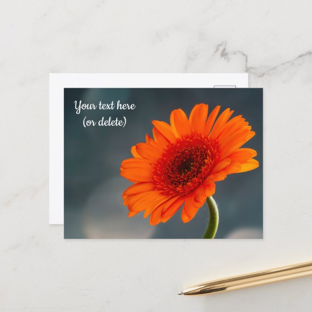 Single Orange Gerbera Postcard Postkarte (Vorderseite/Rückseite Beispiel)