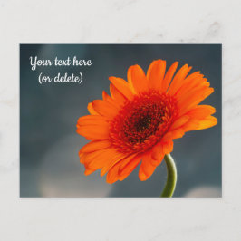 Single Orange Gerbera Postcard Postkarte