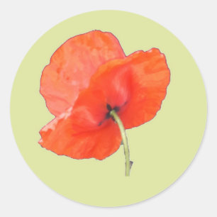 Single Orange Red Poppy mit Grünem Steam Runder Aufkleber