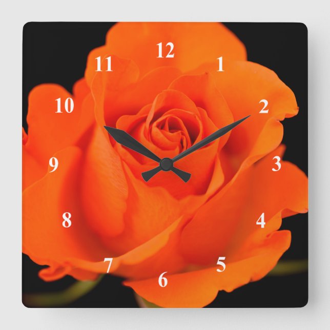 Single Orange Rose Blume Acrylwand Wanduhr (Vorderseite)