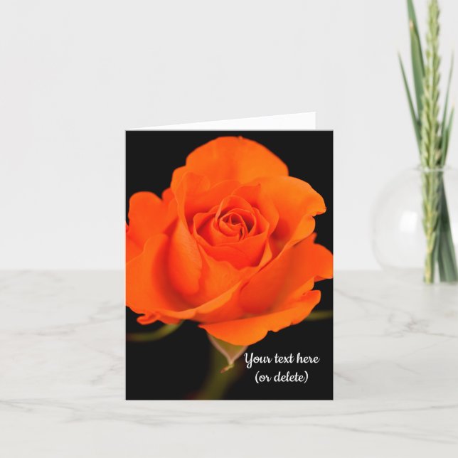 Single Orange Rose Grußkarte Dankeskarte (Vorderseite)