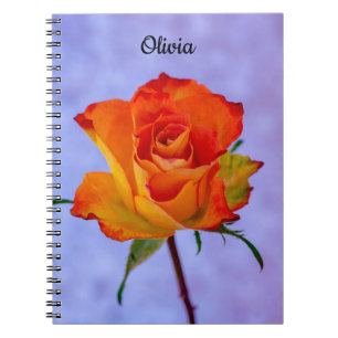 Single Orange und Yellow Rose Spirale Notebook Notizblock