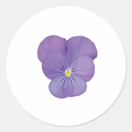 Single Pansy Blume Aufkleber