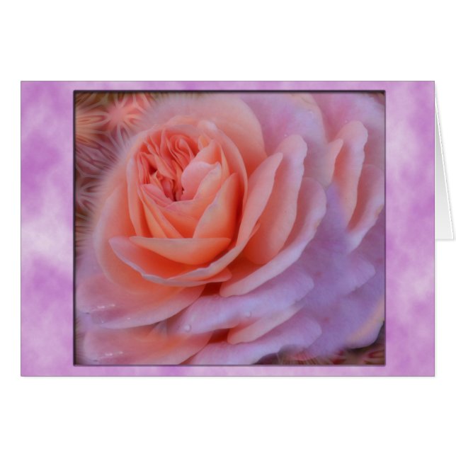 Single Peach Rose (Vorderseite (Horizontal))