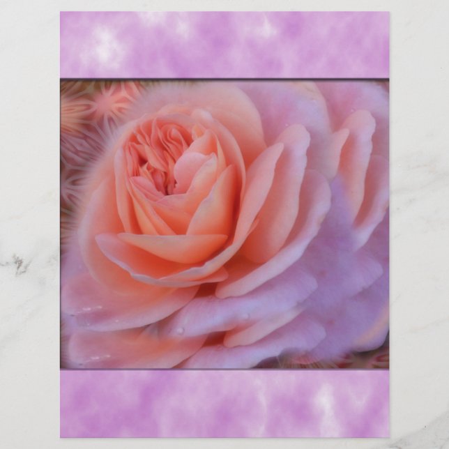 Single Peach Rose (Vorderseite)