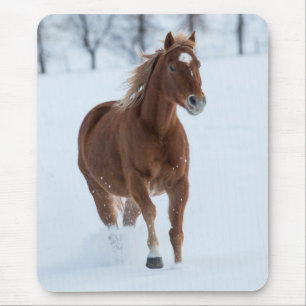 Single Pferd läuft im Schnee Mousepad